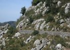 IMG 2851